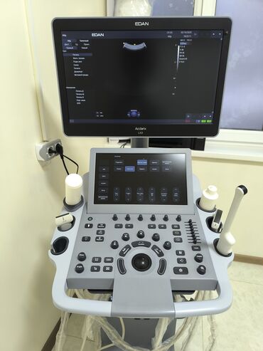 портативный узи аппарат бу купить: Ультразвуковая система EDAN Acclarix LX3,состояние идеалное.2023гв. -