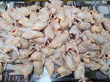 Перепёлки мясистые тушки . Вес 300 грамм, перепёлки специально