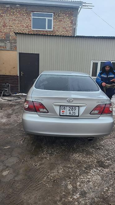 Lexus: Lexus ES: 2004 г., 3 л, Автомат, Бензин, Седан — 5
