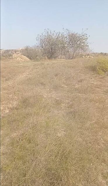 Torpaq sahələrinin satışı: 12 sot, Tikinti, Mülkiyyətçi, Kupça (Çıxarış) -da lalafo.az — 3 Torpaq sahələrinin satışı: 12 sot, Tikinti, Mülkiyyətçi, Kupça (Çıxarış) — 3