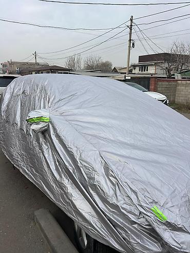 тен на авто: Универсальный тент Для легковых авто, Новый, Самовывоз — 1