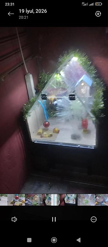 mini led: Məhsul: Dekorativ işıqlı akvarium/teraryum vitrin-kabinəsi Təsvir: - — 4