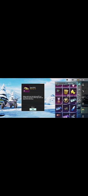 Digər aksesuarlar: PUBG Mobile hesabı – zəngin skin və kolleksiya - Oyun: PUBG Mobile - — 21