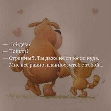 цветы в корзине: Продам телефон можно договариваться синий редми 9 есть трещина но — 1