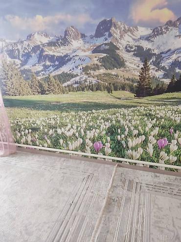 Продажа коттеджей и домов: Продается одноэтажный дом с закрытым двором и хозпостройками. - — 8