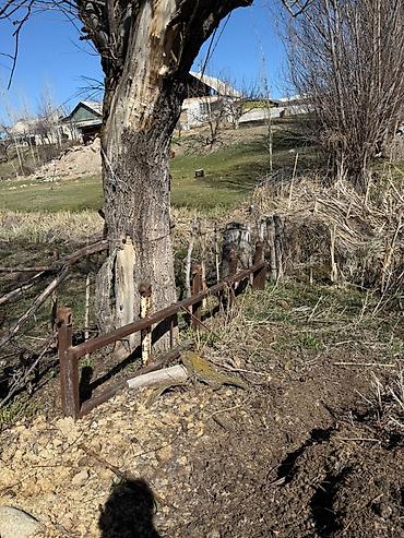 Другие тракторы: Бардык шаймандары менен сатылат . абалдары жакшы фреза японский жаны — 5