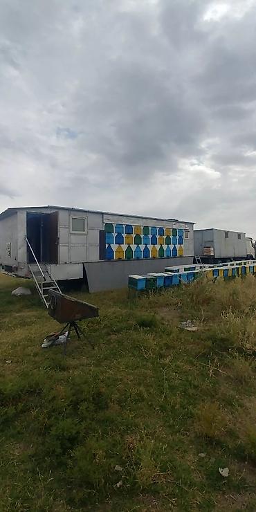 Другие хозтовары: ПРОДАМ Пчелопавилион. Нуклеусы. Лежаки. Медогонку Грановского at lalafo.kg — 14 Другие хозтовары: ПРОДАМ Пчелопавилион. Нуклеусы. Лежаки. Медогонку Грановского — 14