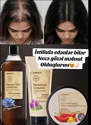 belçika avçarkası: Dest — 1