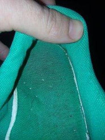 Patike: LACOSTE PATIKE-CIPELE ORIGINAL PREVRNUTA KOZA AKCIJA | UKOLIKO — 15