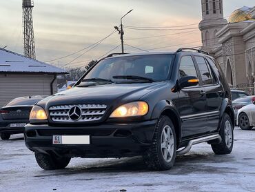 Mercedes-Benz: Mercedes-Benz M-Class: 2002 г., 4.3 л, Автомат, Бензин, Внедорожник