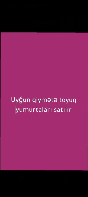 Yumurta: 0.50 qepik. Toyuq — 10