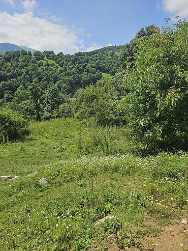 dağ: 25 sot, Tikinti — 5