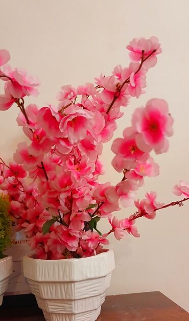 qozalı süni şam ağacları: Искусственные цветы