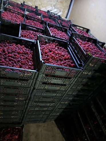 Продажа участков: 200 соток, Для бизнеса, Договор купли-продажи at lalafo.kg — 3 Продажа участков: 200 соток, Для бизнеса, Договор купли-продажи — 3