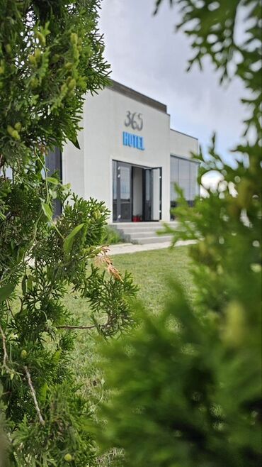 Отели и хостелы: Гостиница 365 HOTEL / B&B Размещение: - Номера с необходимыми — 4