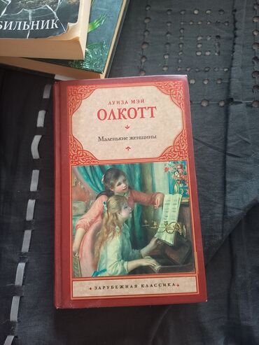 rafet el roman: Luiza Mey Olkottun “Kiçik Qadınlar” romanının nəşri. Roman, dörd