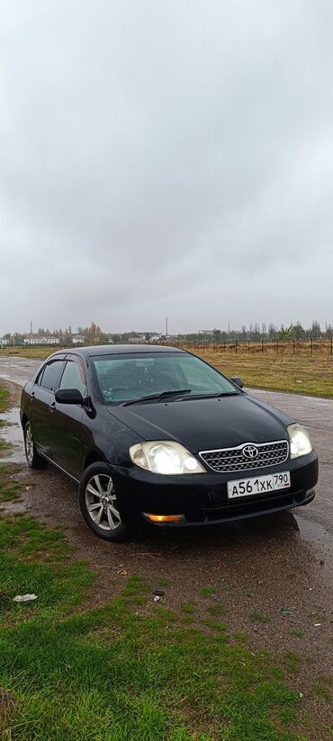 lend kruzer 200: Toyota Corolla: 2002 г., 1.5 л, Автомат, Бензин, Седан