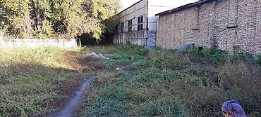 Продажа участков: 8 соток, Для бизнеса, Красная книга — 17