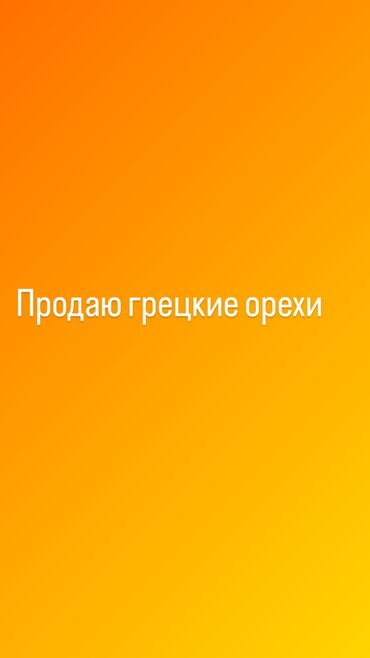 орех мохилхин бишкек: Грецкие орехи, кому интересно пишите в личку