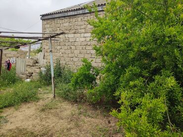Paltaryuyan maşınlar: Bakı, 2 otaqlı, Köhnə tikili, 2 kv. m