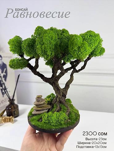 Декоративные цветы: Бонсай ручной работы из натурального стабилизированного мха от 1500 — 55