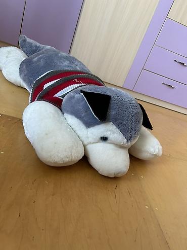 oyuncaq bebe: Böyük ölçülü yumşaq oyuncaq – husky peluş oyuncağı. Husky iti olanlar — 1
