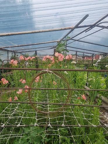 Продажа коттеджей и домов: Продается дом с участком 7 соток. По ул.Коммунаров. 2 ОСТАНОВКИ от — 19