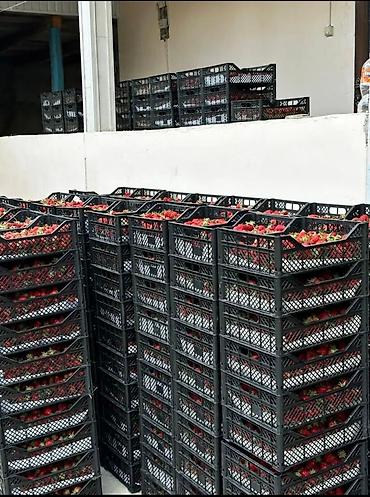 ящик для почты купить: В пластиковые ящики новые от производителя предсезонная распродажа 👍🏻 — 5