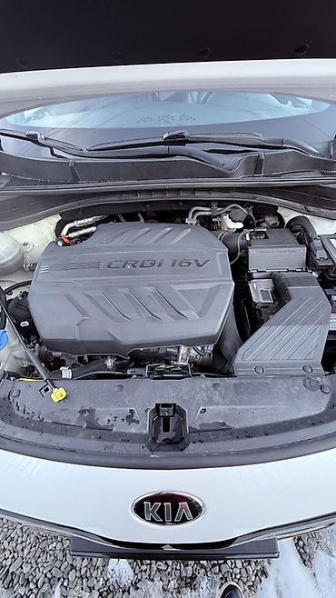 Kia: Kia Sportage: 2019 г., 2 л, Автомат, Дизель, Кроссовер — 9