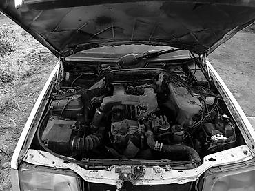 mcv 21: Mercedes-Benz W124: 1995 г., 3 л, Механика, Дизель, Универсал — 3