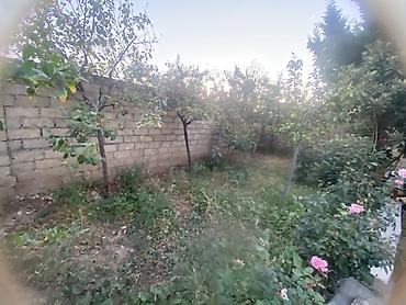 Həyət evləri və villaların satışı: 1 otaqlı, 10 kv. m -da lalafo.az — 17 Həyət evləri və villaların satışı: 1 otaqlı, 10 kv. m — 17