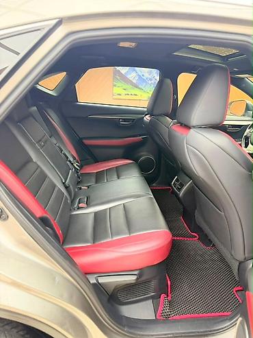 все для машины: Lexus NX: 2020 г., 2 л, Автомат, Бензин, Кроссовер — 5