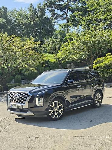 360: Hyundai Palisade: 2020 г., Дизель, Кроссовер — 4