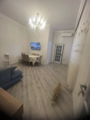 Uzunmüddətli kirayə mənzillər: 4 otag - Zal: Geniş və işıqlı otaq, kristal lüstrlü asma tavan — 18