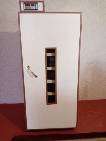 inkubator mini: İnkubator 1000 yumurtalıq zakasla yigilir çıxış faizi 85-90 fayizi