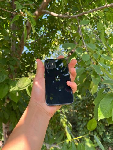 ноутбук apple цена бишкек: IPhone 12 mini, Колдонулган, 128 ГБ, Көк, Каптама, Коргоочу айнек, 80 %