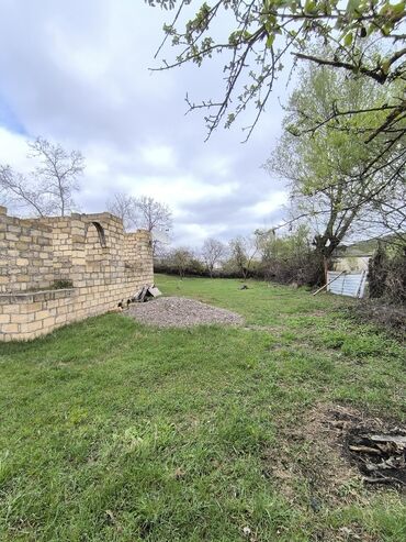 Torpaq sahələrinin satışı: 11 sot, Tikinti, Mülkiyyətçi, Kupça (Çıxarış) -da lalafo.az — 7 Torpaq sahələrinin satışı: 11 sot, Tikinti, Mülkiyyətçi, Kupça (Çıxarış) — 7