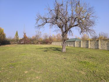 Torpaq sahələrinin satışı: 20 sot, Tikinti, Mülkiyyətçi, Kupça (Çıxarış) — 8