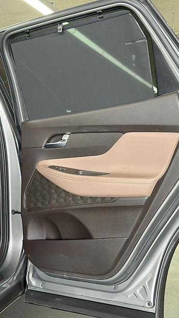 Hyundai: Hyundai Santa Fe: 2019 г., 2 л, Бензин — 20