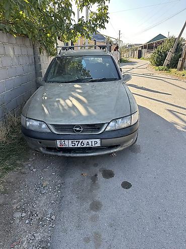 лампы для цветов: Opel Vectra: 1997 г., 2 л, Автомат, Бензин, Универсал — 1