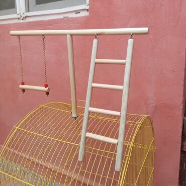 Oyuncaqlar: Taxta qəfəs aksesuarları zoo alemi üçün tebii budaqdan hazirlanir - -da lalafo.az — 5 Oyuncaqlar: Taxta qəfəs aksesuarları zoo alemi üçün tebii budaqdan hazirlanir - — 5