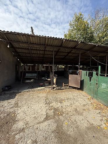 Продажа коттеджей и домов: 📍 В Гавриловке продается дом на учвстке 13.4 соток, 100 кв.м. 🏡Дом с — 6
