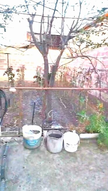 Həyət evləri və villaların satışı: 3 otaqlı, 670 kv. m, Kredit yoxdur, Orta təmir — 13