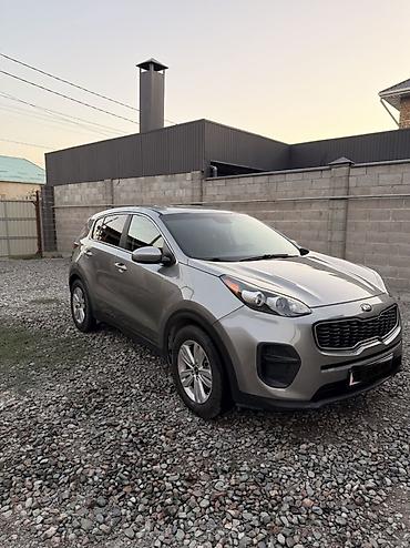 spark 2018: Kia Sportage: 2018 г., 2.4 л, Автомат, Бензин, Кроссовер — 3