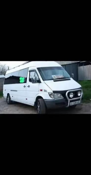 Автобус на заказ: БУС НА ЗАКАЗ ПО КЫРГЫЗСТАНУ ЫСЫК КОЛ ЧОЛПОН АТА БОСТЕРИ БАЛЫКЧЫ — 7