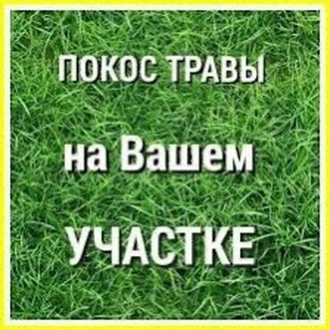 клининговые компании: Уборка территории, Уборка двора и сада
