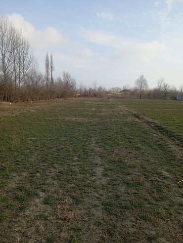 Anbar və emalatxanalar: 160mine Agdasda bu satisa cixarilib Evin hərşeyi var 35metr navesi — 8