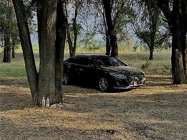 rota grid: Hyundai Sonata: 2019 г., 2 л, Автомат, Бензин, Седан — 5