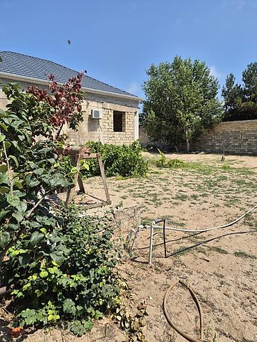 bilgehde torpaq satilir: Bilgəhdə 24 sot torpağ satılır sənədi paket çıxarış su qaz işığ — 4