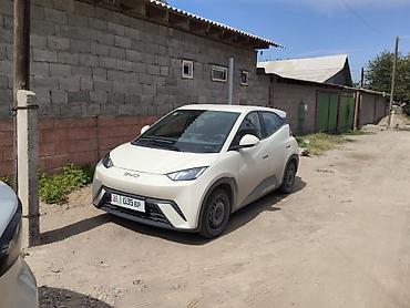 маленькие электро машины: BYD Seagull: 2025 г., 2.2 л, Автомат, Электромобиль, Хэтчбэк — 3
